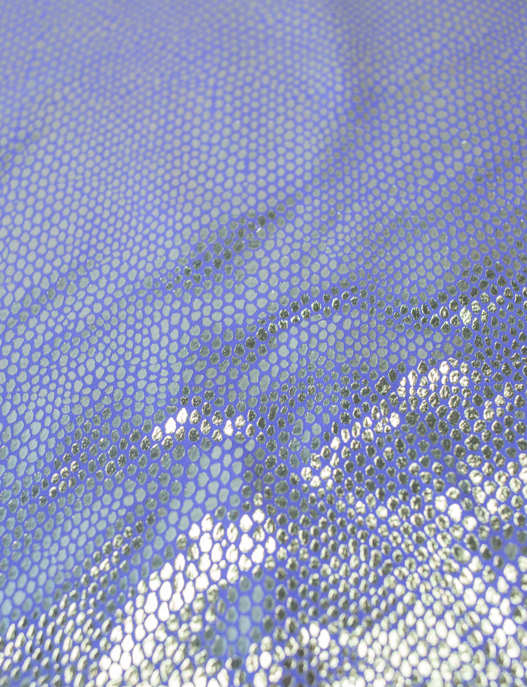 Light blue foil lizard skin on blue 4 way spandex