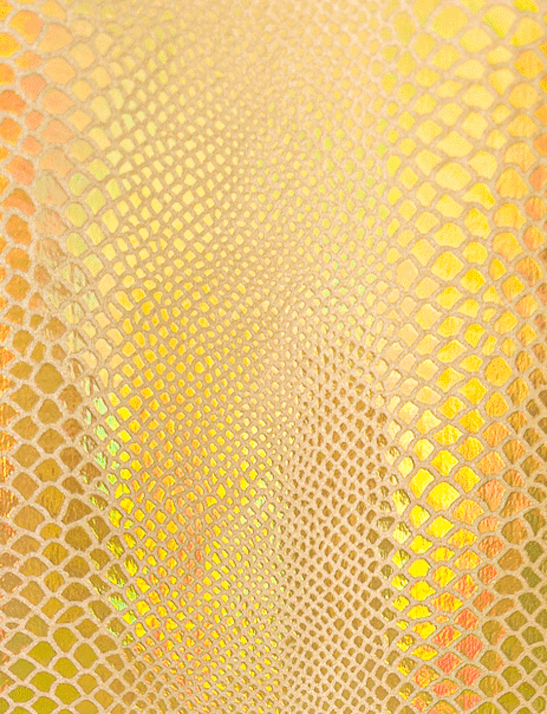 Gold Holo Snake on Gold Stretch Swatch (1)