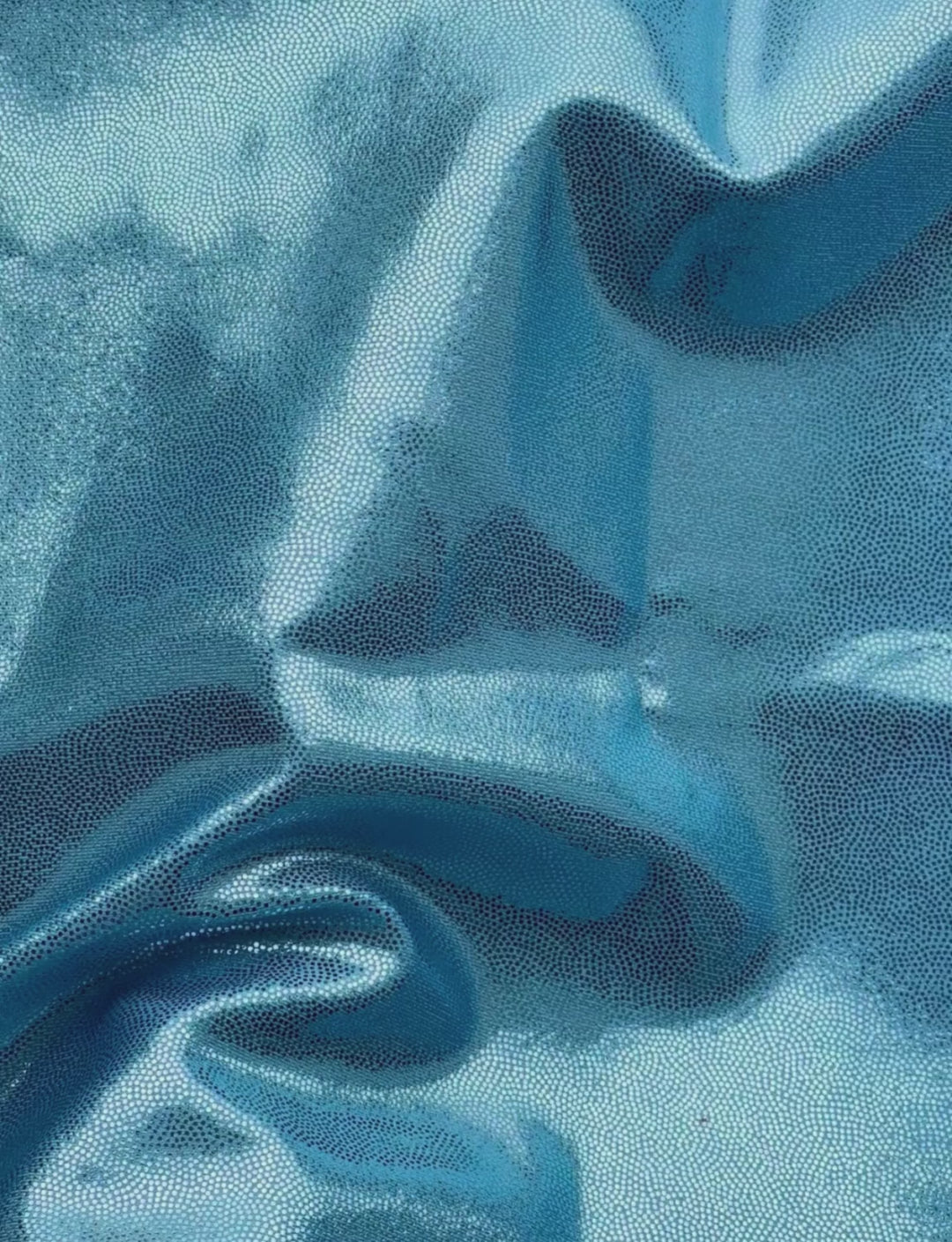 Feuille bleu poudre (3)